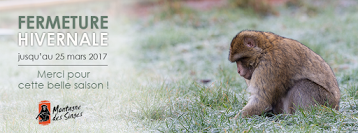 La Montagne des Singes