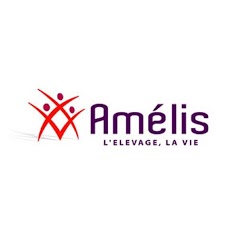 Amélis - Bovin