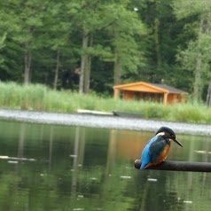 Barrington's Lake at Etang Cotes Bruyere