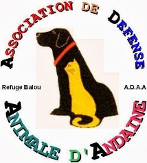 Association de Défense Animale d'Andaine