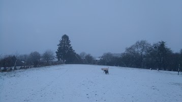 La Gagnonnière (Ganonnière)