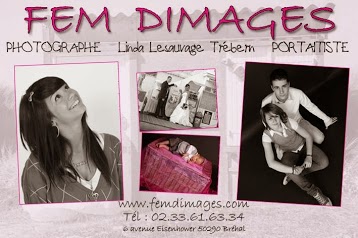 Fem Dimages