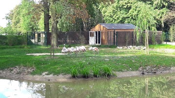 Zoo du Bois d'Attilly