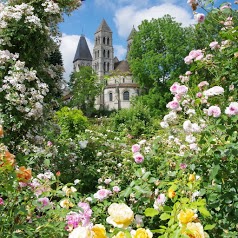 Abbaye de Morienval Roseraie DAVID AUSTIN®