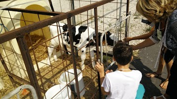 Ferme des Peupliers