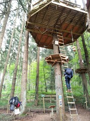 CABANES DES SAPINS