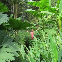 Jardin jungle karlostachys