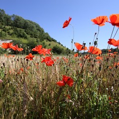 Ternois Tourisme