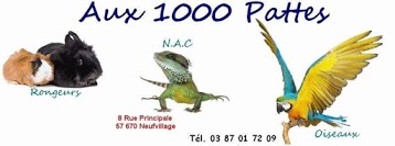 Aux 1000 Pattes