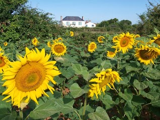 La Boulinerie