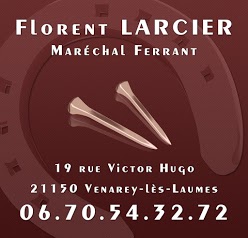 Larcier Florent