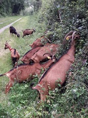 Ferme des Étangs