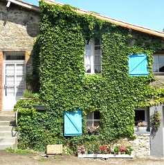 Les Dauphins de Vendee