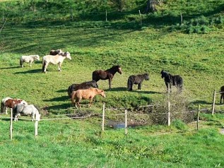 Le Hameau Du Nay