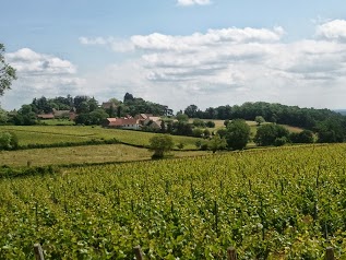 Les Coteaux du Thil - Chambres d'hôtes - Gîte - CHENOVES - Bourgogne du Sud