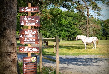 Élevage et camping à la ferme de la Maison Neuve