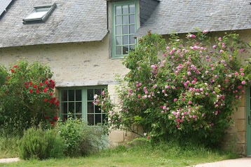 Domaine de Suie - Chambre d'hôte et gîte