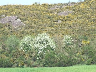 GITES LES 'FARFADETS' - LES 'LUCIOLES' - LA 'HULOTTE'