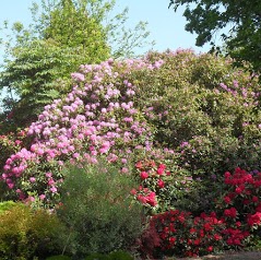 Les Jardins des Renaudies