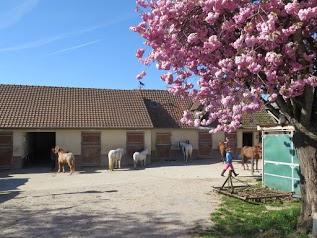 Centre Equestre du Cheval Bleu