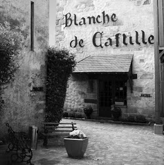 Best Western Blanche de Castille - Hôtel, Bar, Brasserie***