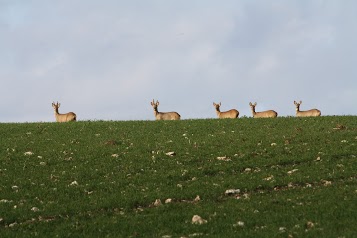 La Ferme De Puiseleau