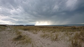 L'Oasis de la Plage