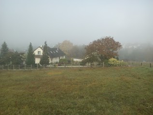 Les Sapins des Vignobles