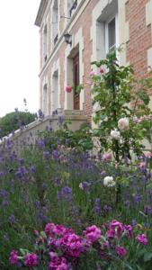 Chambres d'hôtes Fleur de Senon