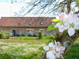 Les Avesnes, gite rural