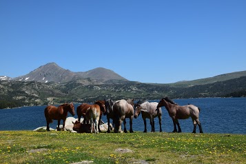 Refuge le Bornes Hores