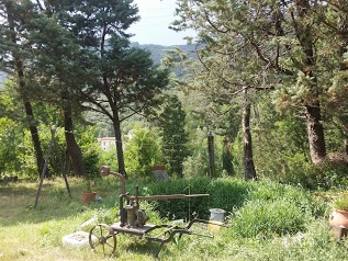 Bed & Breakfast Mas di Luna Arles sur Tech