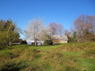 Gîte La Grange de Guirel