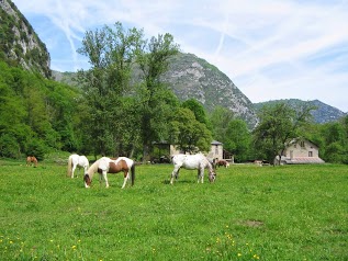 Les longues pistes