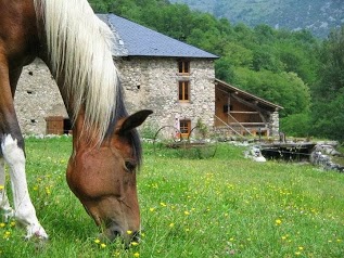 Les longues pistes Ferme équestre