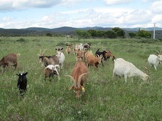 Le Ferme De Bouquets