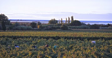 Château d'Anglès