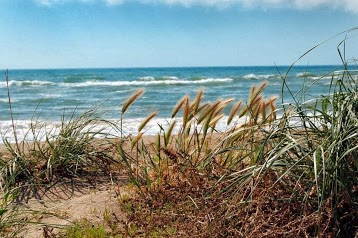 Mer et Nature