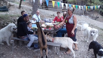 FERME SAVEUR CAPRINE