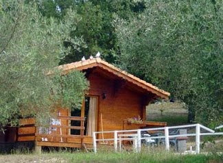 Camping L'oliveraie