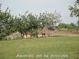 Maison de l'ébéniste