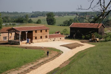 Cabanes Perchées Dans Les Arbres