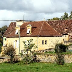 Camelia-du-maine