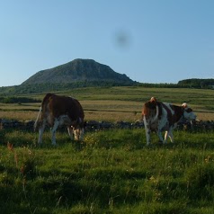 La yourte au fond du pré