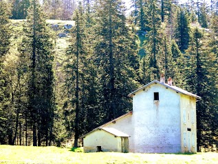 Maison Forestière de la Coche