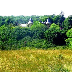 Pretty Little Cottage In The Dordogne