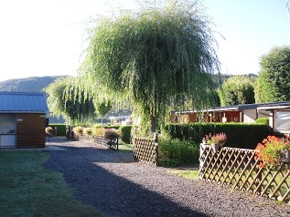 Camping Les Saules du Lac Chambon