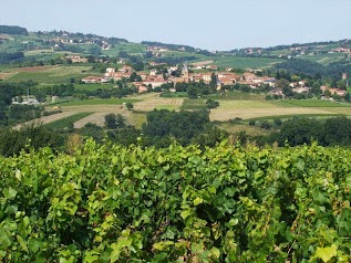 Gîte des Vendanges, Gîte Delestra